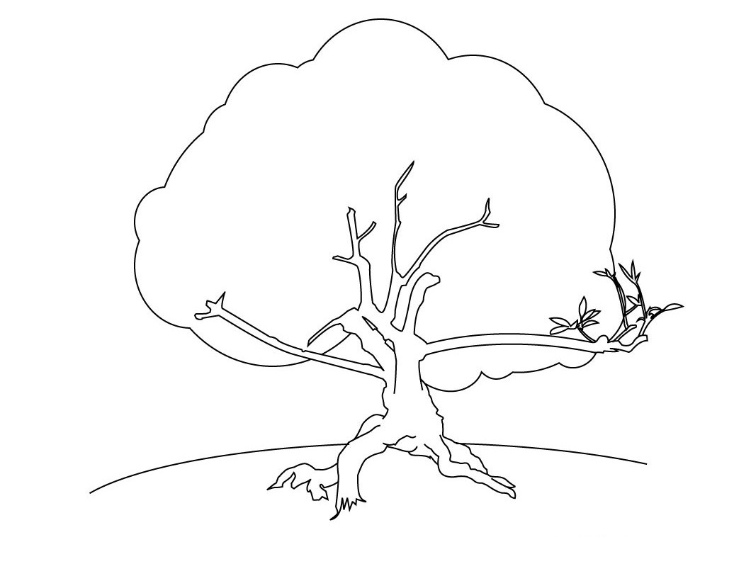 Dibujo para colorear: Árbol (Naturaleza) #154774 - Dibujos para Colorear e Imprimir Gratis