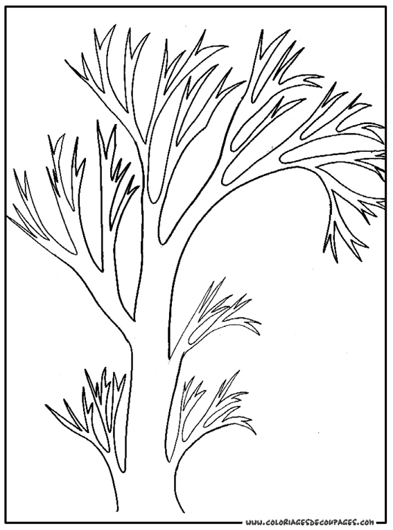 Dibujo para colorear: Árbol (Naturaleza) #154788 - Dibujos para Colorear e Imprimir Gratis