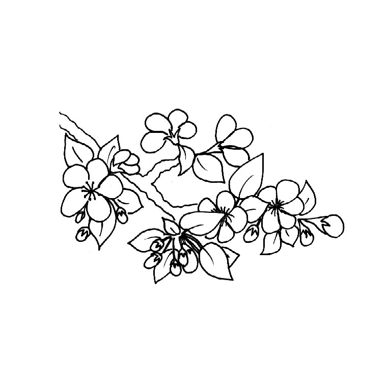 Dibujo para colorear: Árbol (Naturaleza) #154803 - Dibujos para Colorear e Imprimir Gratis