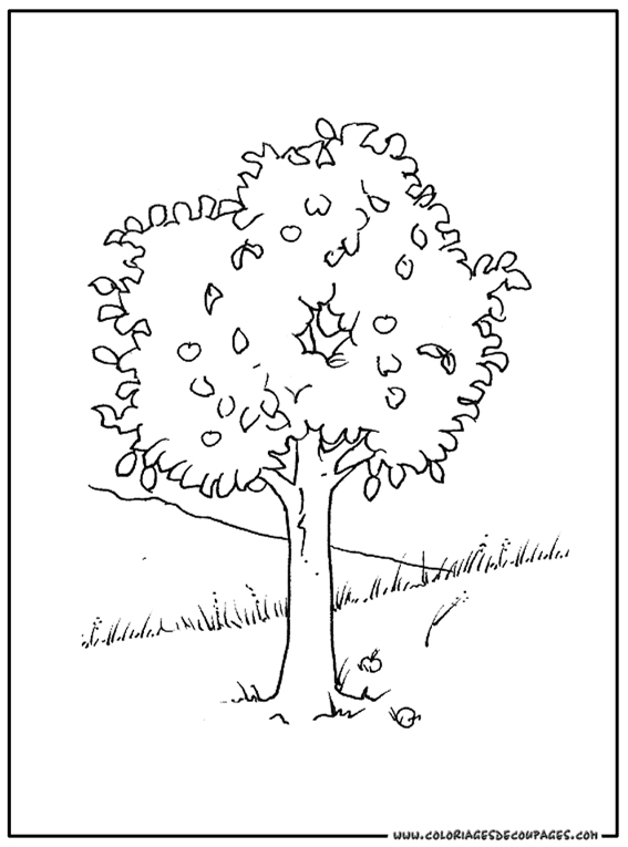 Dibujo para colorear: Árbol (Naturaleza) #154804 - Dibujos para Colorear e Imprimir Gratis