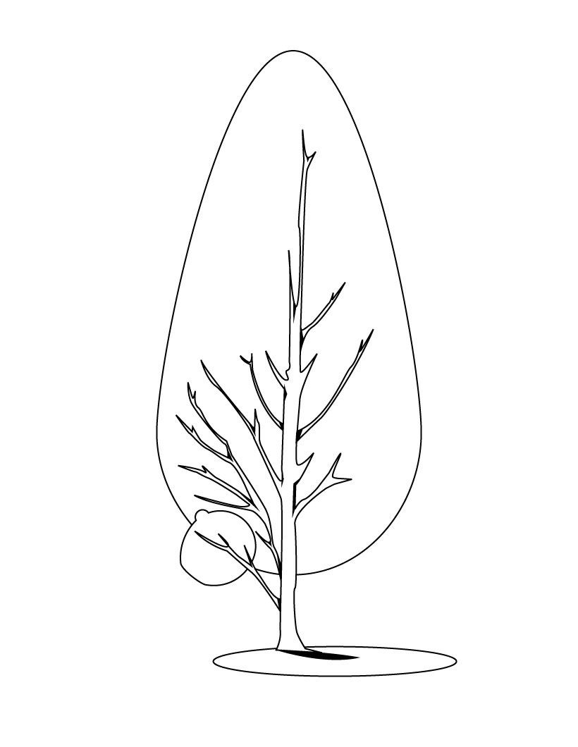 Dibujo para colorear: Árbol (Naturaleza) #154824 - Dibujos para Colorear e Imprimir Gratis