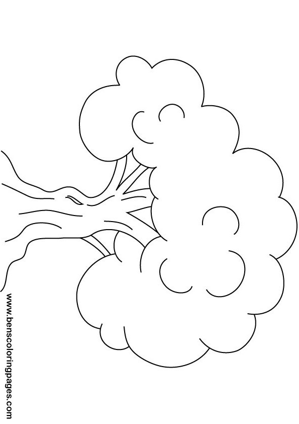 Dibujo para colorear: Árbol (Naturaleza) #154826 - Dibujos para Colorear e Imprimir Gratis