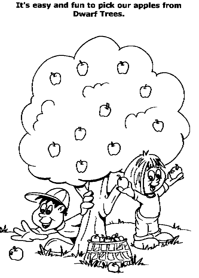 Dibujo para colorear: Árbol (Naturaleza) #154832 - Dibujos para Colorear e Imprimir Gratis