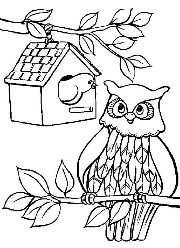 Dibujo para colorear: Árbol (Naturaleza) #154859 - Dibujos para Colorear e Imprimir Gratis