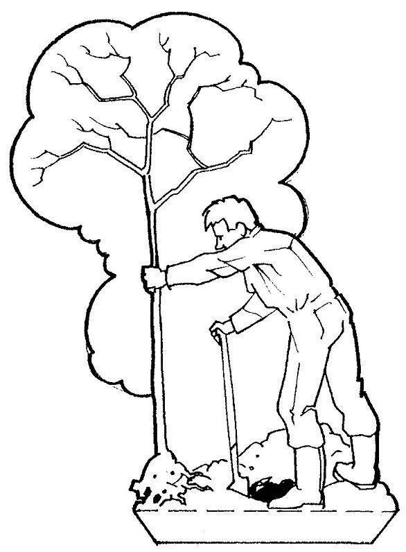 Dibujo para colorear: Árbol (Naturaleza) #154874 - Dibujos para Colorear e Imprimir Gratis