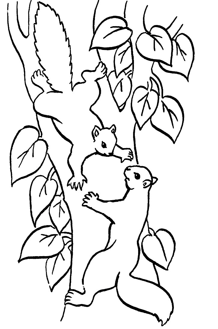 Dibujo para colorear: Árbol (Naturaleza) #154879 - Dibujos para Colorear e Imprimir Gratis