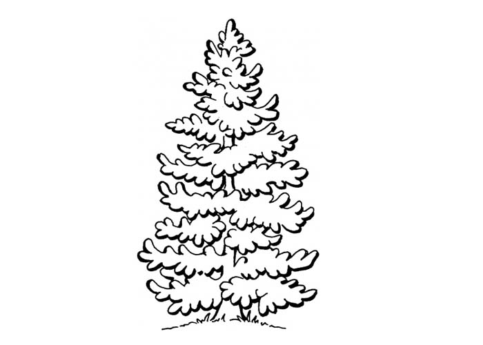 Dibujo para colorear: Árbol (Naturaleza) #154909 - Dibujos para Colorear e Imprimir Gratis