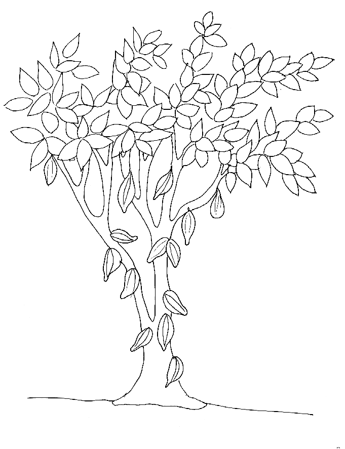 Dibujo para colorear: Árbol (Naturaleza) #154928 - Dibujos para Colorear e Imprimir Gratis