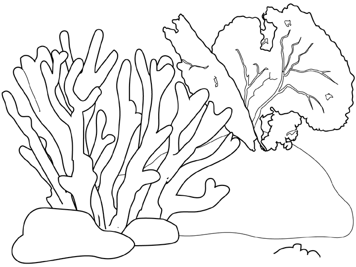 Dibujos de Coral (Naturaleza) para colorear – Páginas imprimibles gratis