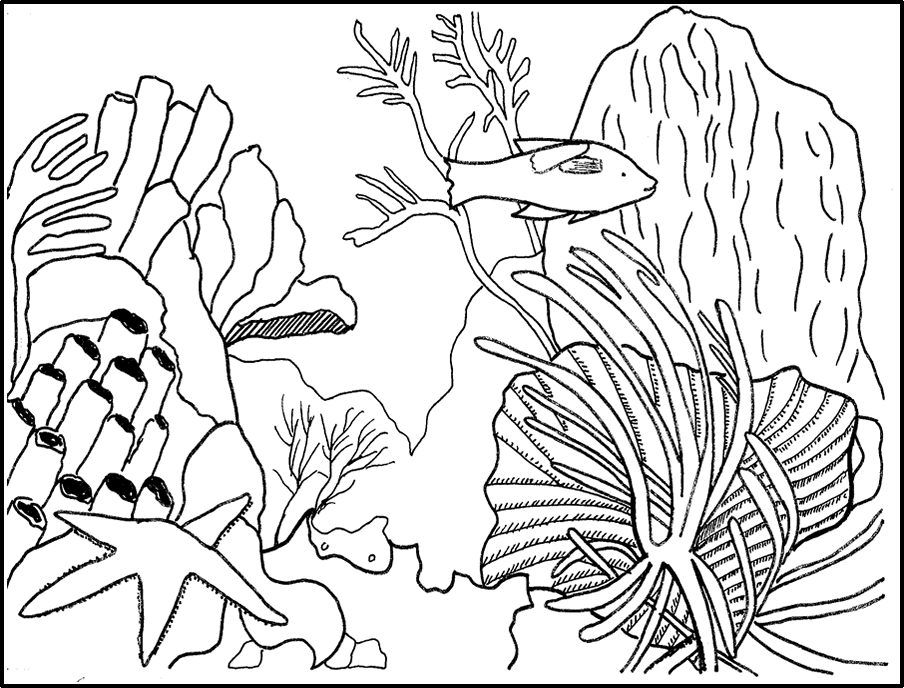 Dibujo para colorear: Coral (Naturaleza) #162899 - Dibujos para Colorear e Imprimir Gratis