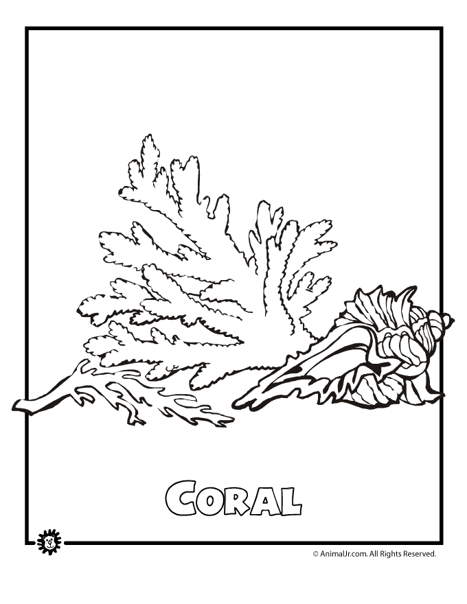 Dibujo para colorear: Coral (Naturaleza) #162945 - Dibujos para Colorear e Imprimir Gratis