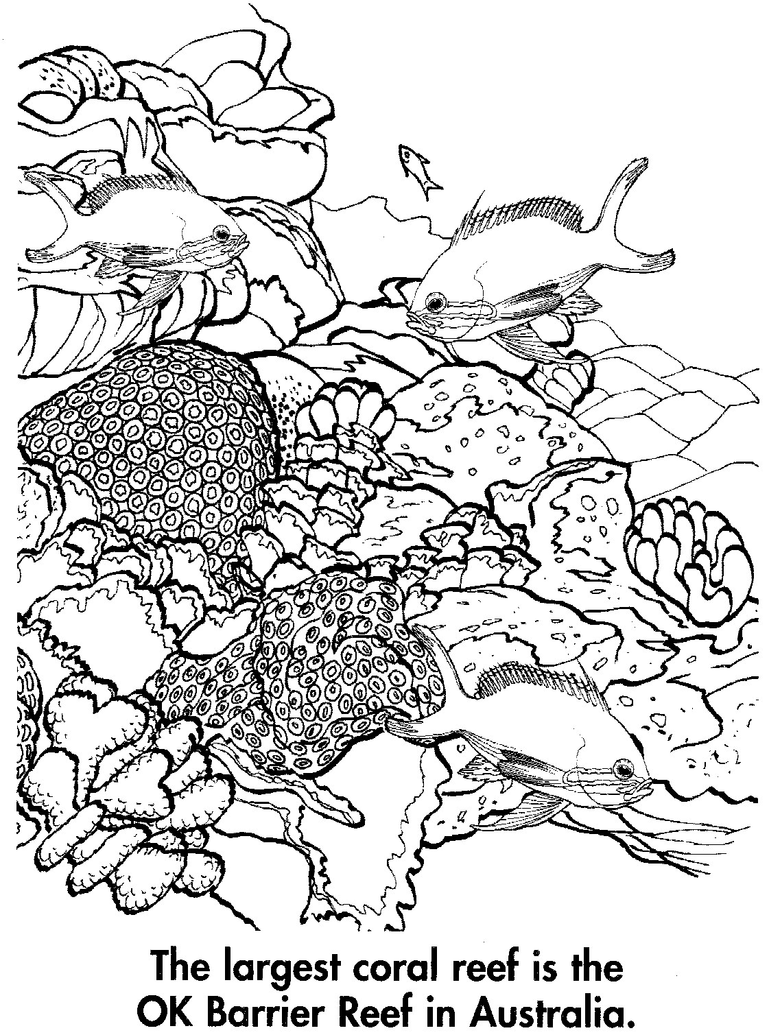 Dibujo para colorear: Coral (Naturaleza) #162971 - Dibujos para Colorear e Imprimir Gratis