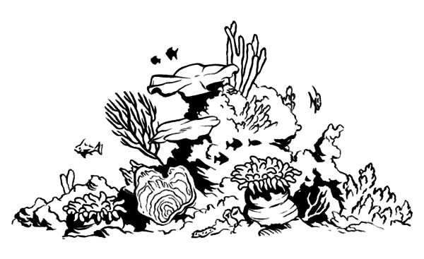 Dibujo para colorear: Coral (Naturaleza) #162981 - Dibujos para Colorear e Imprimir Gratis