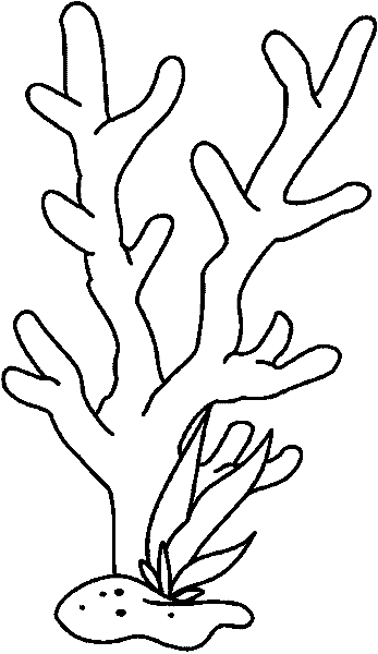  Dibujos de Coral (Naturaleza) para colorear y pintar – Páginas para imprimir