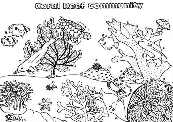Dibujo para colorear: Coral (Naturaleza) #163000 - Dibujos para Colorear e Imprimir Gratis