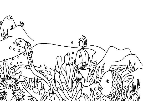 Dibujo para colorear: Coral (Naturaleza) #163014 - Dibujos para Colorear e Imprimir Gratis