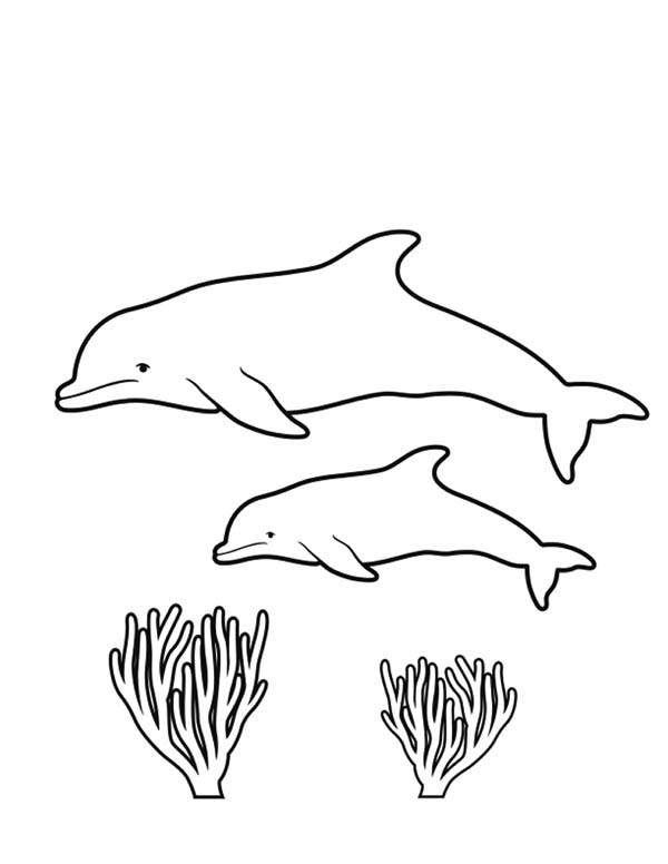 Dibujo para colorear: Coral (Naturaleza) #163092 - Dibujos para Colorear e Imprimir Gratis