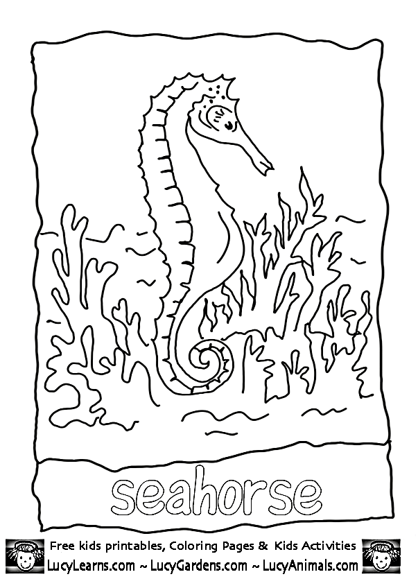 Dibujo para colorear: Coral (Naturaleza) #163136 - Dibujos para Colorear e Imprimir Gratis