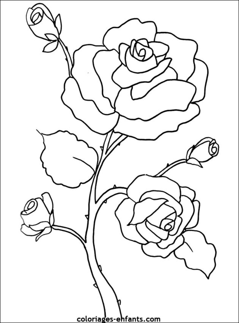 Dibujo para colorear: Flores (Naturaleza) #154967 - Dibujos para Colorear e Imprimir Gratis