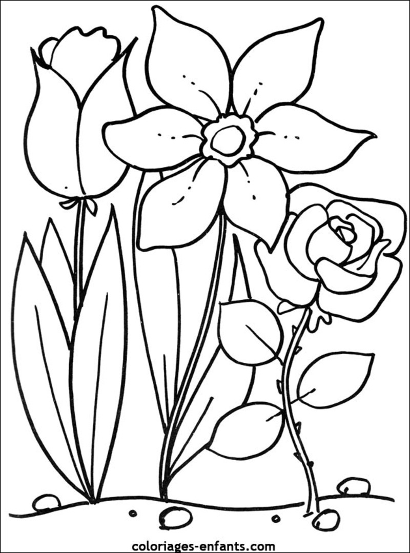 Dibujo para colorear: Flores (Naturaleza) #154975 - Dibujos para Colorear e Imprimir Gratis