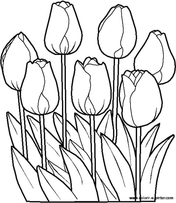 Dibujo para colorear: Flores (Naturaleza) #154985 - Dibujos para Colorear e Imprimir Gratis