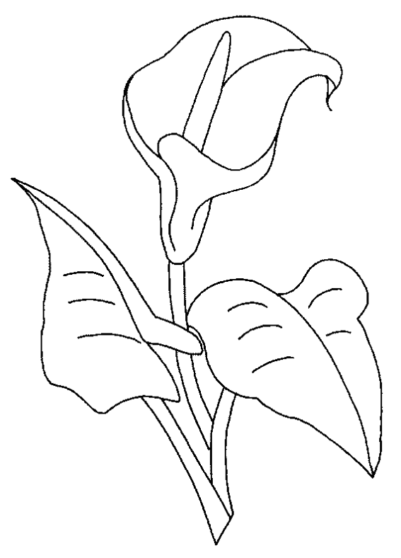 Dibujo para colorear: Flores (Naturaleza) #154989 - Dibujos para Colorear e Imprimir Gratis