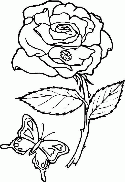 Dibujo para colorear: Flores (Naturaleza) #154996 - Dibujos para Colorear e Imprimir Gratis