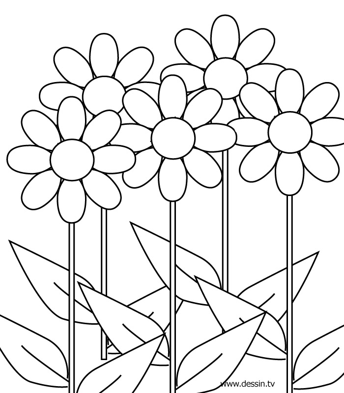 Dibujo para colorear: Flores (Naturaleza) #154997 - Dibujos para Colorear e Imprimir Gratis