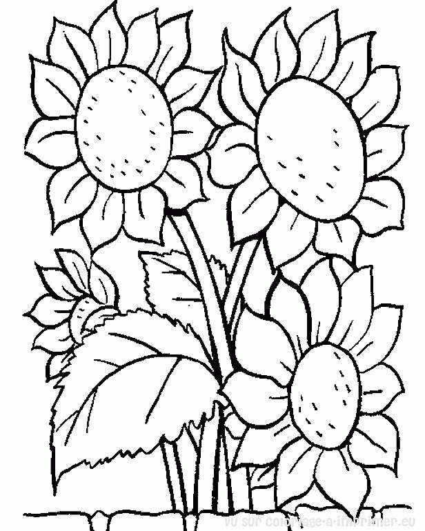 Dibujo para colorear: Flores (Naturaleza) #155000 - Dibujos para Colorear e Imprimir Gratis