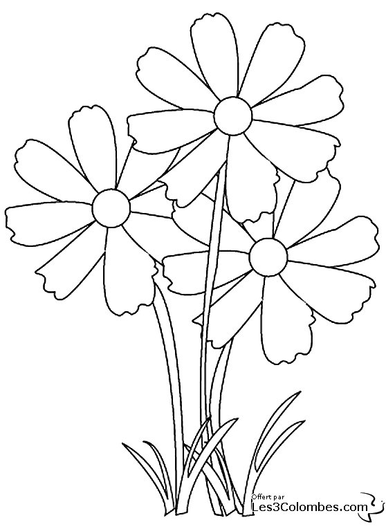 Dibujo para colorear: Flores (Naturaleza) #155003 - Dibujos para Colorear e Imprimir Gratis