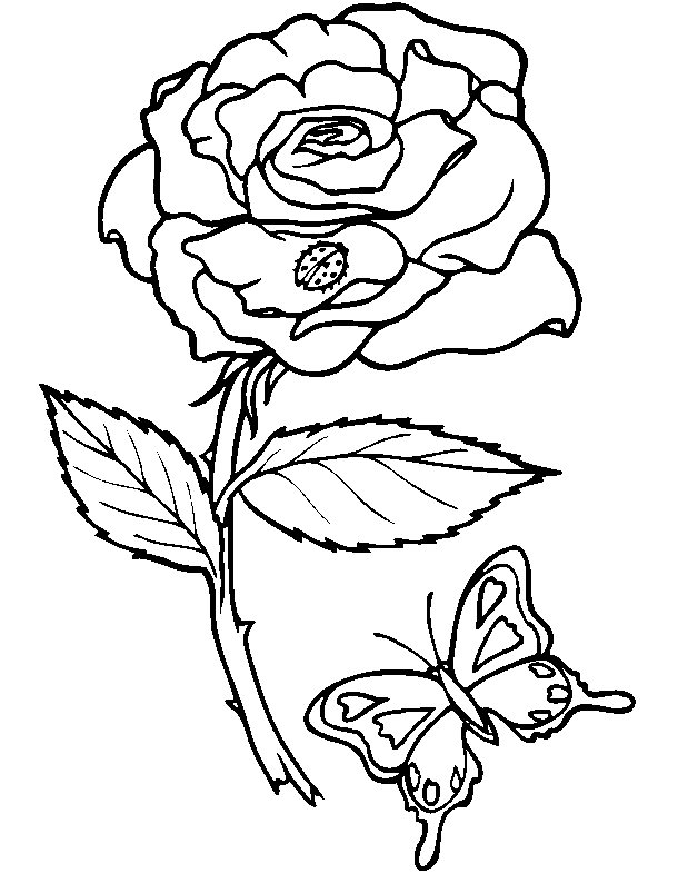 Dibujo para colorear: Flores (Naturaleza) #155018 - Dibujos para Colorear e Imprimir Gratis