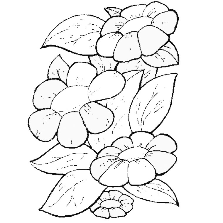 Dibujo para colorear: Flores (Naturaleza) #155025 - Dibujos para Colorear e Imprimir Gratis