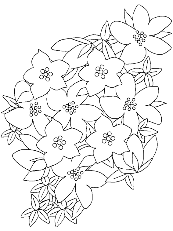 Dibujo para colorear: Flores (Naturaleza) #155063 - Dibujos para Colorear e Imprimir Gratis