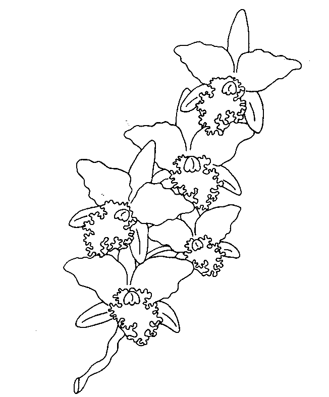 Dibujo para colorear: Flores (Naturaleza) #155073 - Dibujos para Colorear e Imprimir Gratis