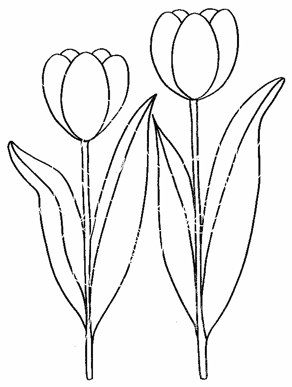 Dibujo para colorear: Flores (Naturaleza) #155080 - Dibujos para Colorear e Imprimir Gratis