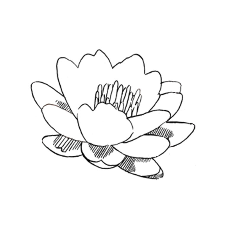 Dibujo para colorear: Flores (Naturaleza) #155093 - Dibujos para Colorear e Imprimir Gratis