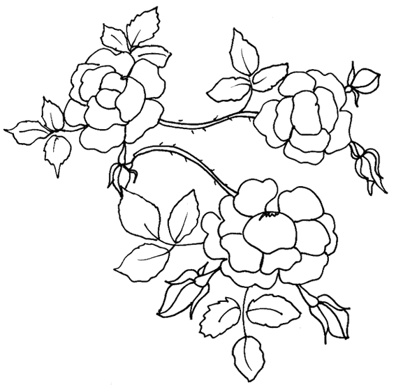 Dibujo para colorear: Flores (Naturaleza) #155096 - Dibujos para Colorear e Imprimir Gratis