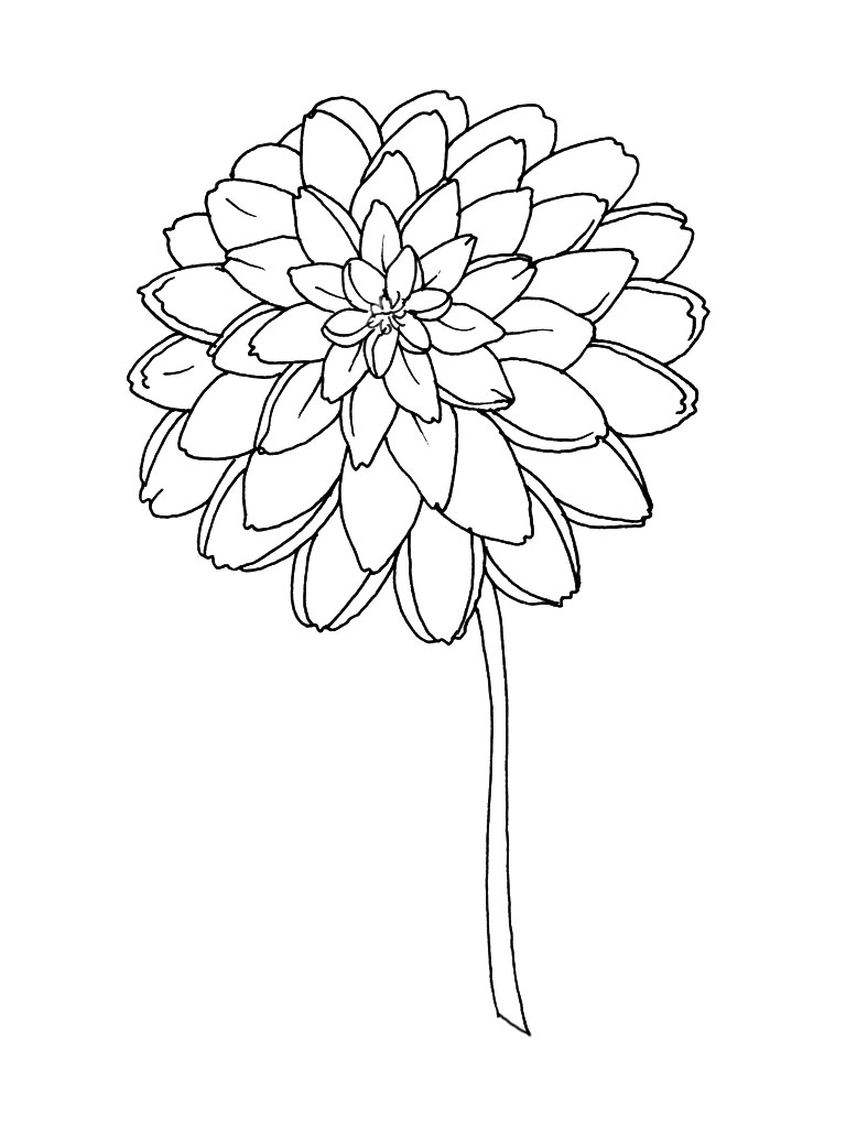 Dibujo para colorear: Flores (Naturaleza) #155097 - Dibujos para Colorear e Imprimir Gratis