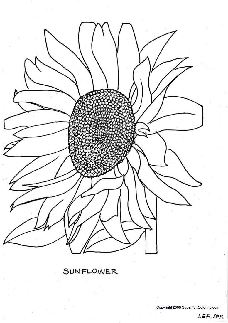 Dibujo para colorear: Flores (Naturaleza) #155121 - Dibujos para Colorear e Imprimir Gratis