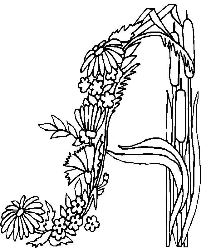 Dibujo para colorear: Flores (Naturaleza) #155127 - Dibujos para Colorear e Imprimir Gratis