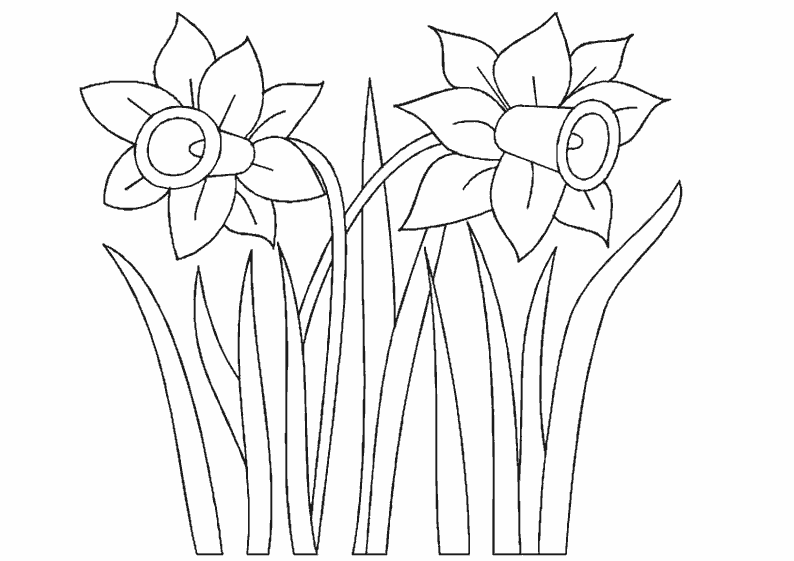 Dibujo para colorear: Flores (Naturaleza) #155167 - Dibujos para Colorear e Imprimir Gratis