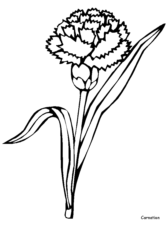 Dibujo para colorear: Flores (Naturaleza) #155180 - Dibujos para Colorear e Imprimir Gratis
