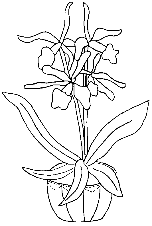 Dibujo para colorear: Flores (Naturaleza) #155185 - Dibujos para Colorear e Imprimir Gratis