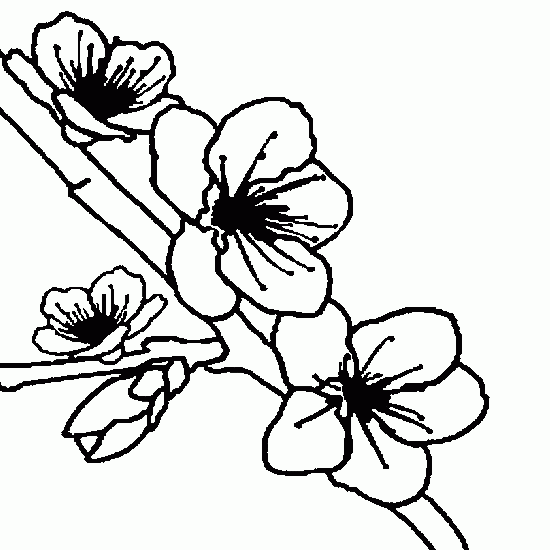 Dibujo para colorear: Flores (Naturaleza) #155191 - Dibujos para Colorear e Imprimir Gratis