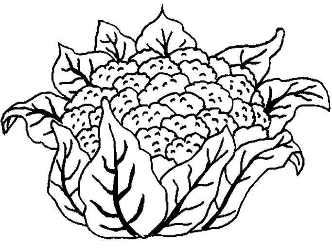 Dibujo para colorear: Flores (Naturaleza) #155194 - Dibujos para Colorear e Imprimir Gratis