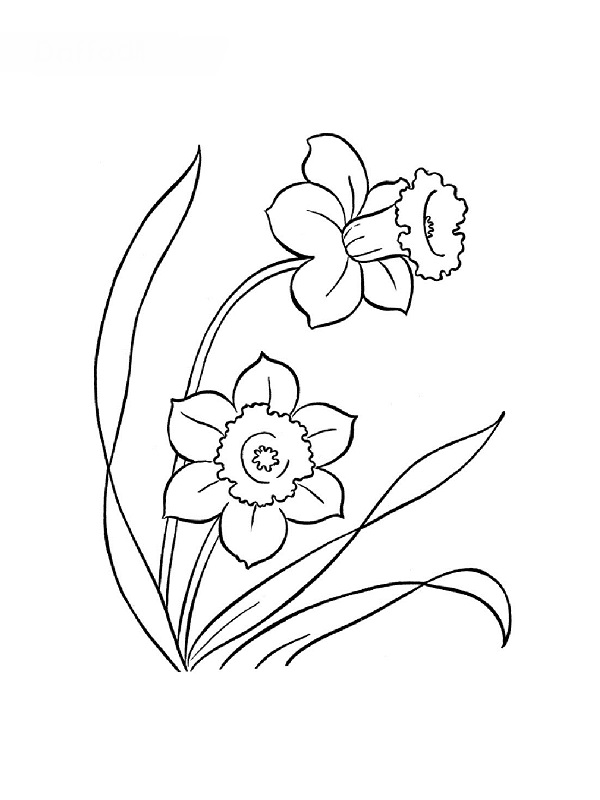 Dibujo para colorear: Flores (Naturaleza) #155250 - Dibujos para Colorear e Imprimir Gratis