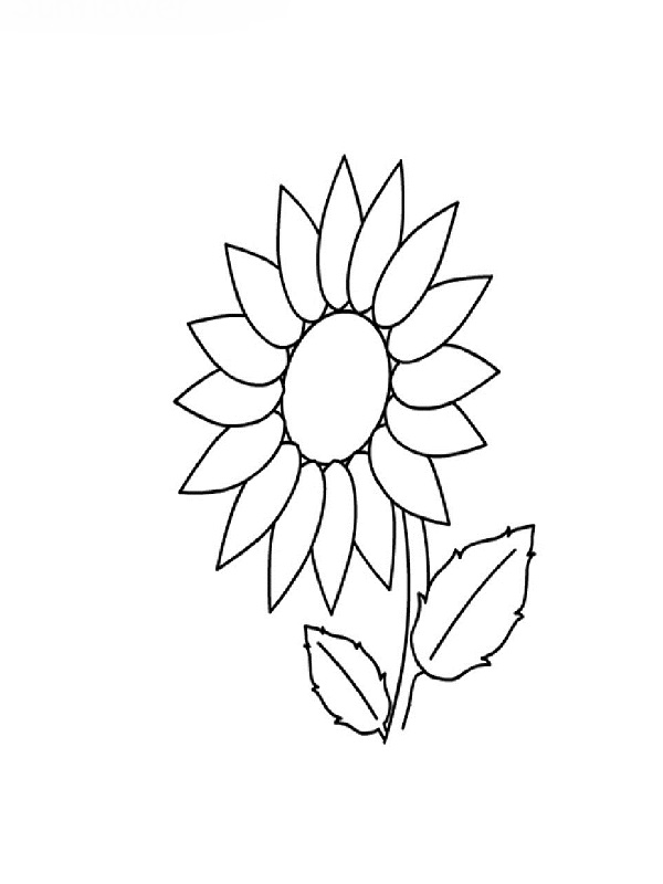 Dibujo para colorear: Flores (Naturaleza) #155254 - Dibujos para Colorear e Imprimir Gratis