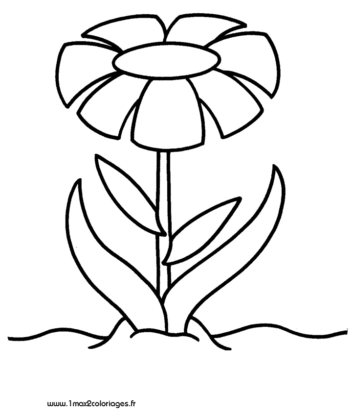 Dibujo para colorear: Flores (Naturaleza) #155264 - Dibujos para Colorear e Imprimir Gratis