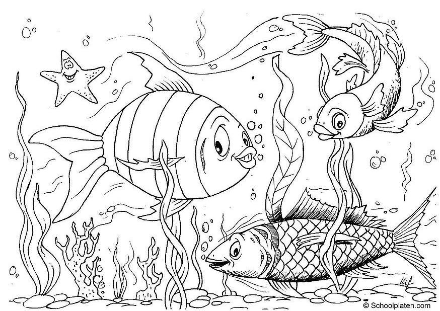 Dibujos de Fondo del mar #160103 (Naturaleza) para colorear – Páginas  imprimibles gratis