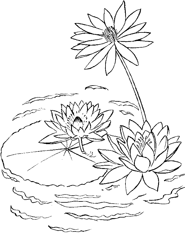 Dibujos De Lago 166200 Naturaleza Para Colorear Páginas